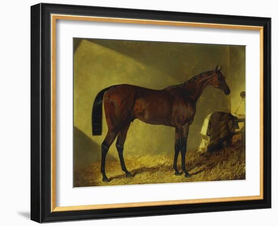 The Race Horse 'Merry Monarch' in a Stall-John Frederick Herring I-Framed Giclee Print
