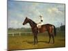 The Racehorse, 'Northeast' with Jockey Up-Emil Adam-Mounted Giclee Print