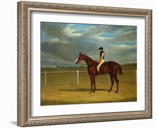 The Racehorse 'The Colonel' with William Scott Up-Federico Ballesio-Framed Giclee Print