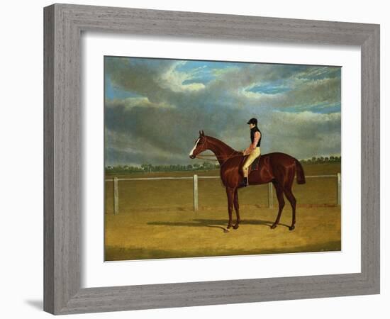 The Racehorse 'The Colonel' with William Scott Up-Federico Ballesio-Framed Giclee Print