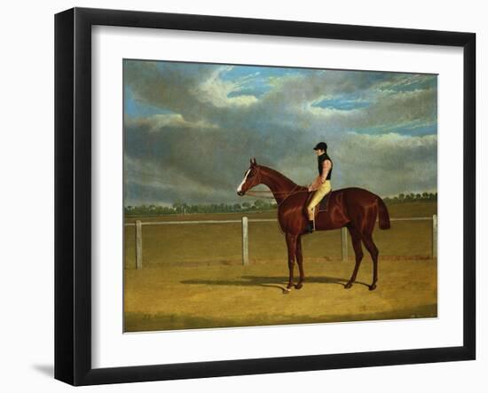 The Racehorse 'The Colonel' with William Scott Up-Federico Ballesio-Framed Giclee Print