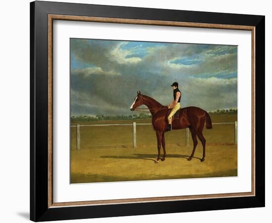 The Racehorse 'The Colonel' with William Scott Up-Federico Ballesio-Framed Giclee Print