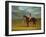 The Racehorse 'The Colonel' with William Scott Up-Federico Ballesio-Framed Giclee Print