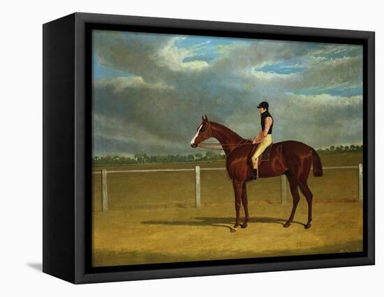 The Racehorse 'The Colonel' with William Scott Up-Federico Ballesio-Framed Premier Image Canvas