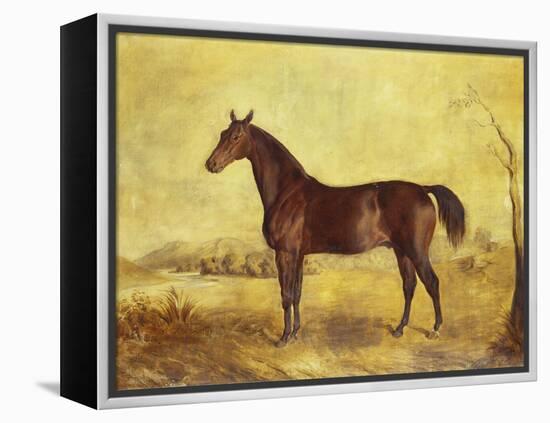 The Racehorse 'Tranby' in a River Landscape-Edward Troye-Framed Premier Image Canvas