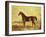 The Racehorse 'Tranby' in a River Landscape-Edward Troye-Framed Giclee Print