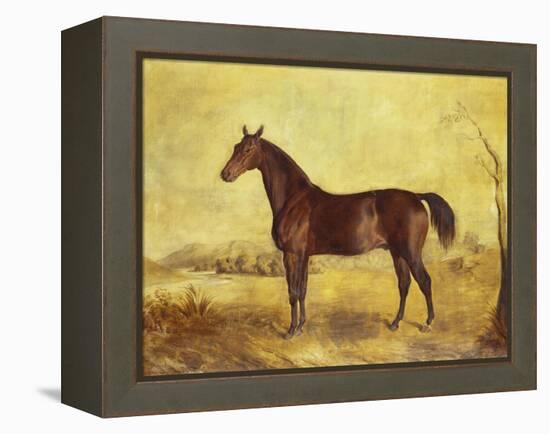 The Racehorse 'Tranby' in a River Landscape-Edward Troye-Framed Premier Image Canvas