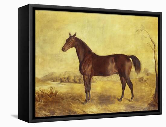 The Racehorse 'Tranby' in a River Landscape-Edward Troye-Framed Premier Image Canvas