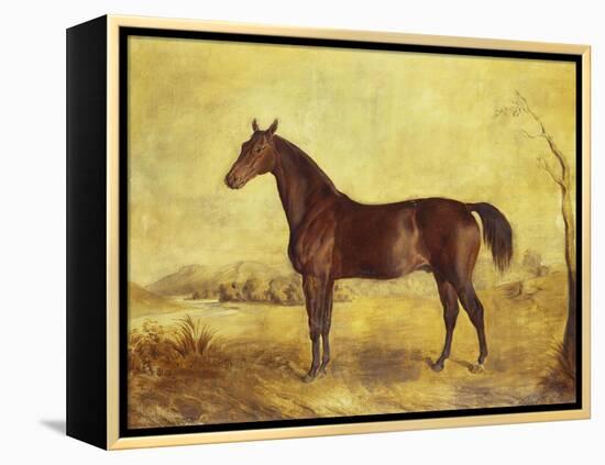 The Racehorse 'Tranby' in a River Landscape-Edward Troye-Framed Premier Image Canvas