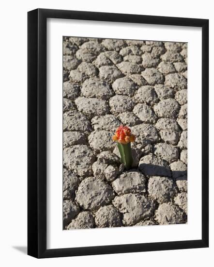 The Racetrack Point, Death Valley National Park, California, USA-Angelo Cavalli-Framed Photographic Print