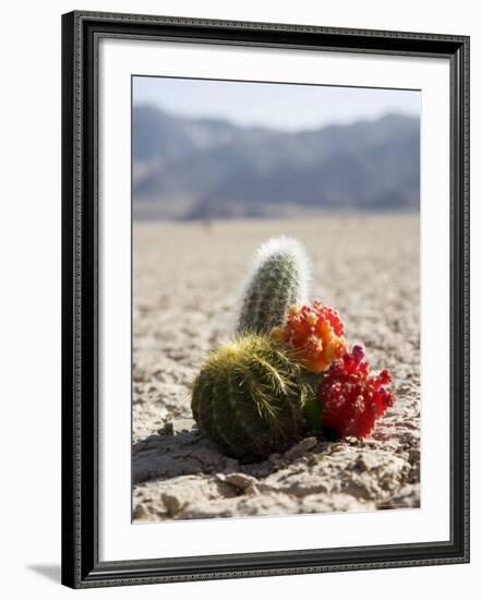 The Racetrack Point, Death Valley National Park, California, USA-Angelo Cavalli-Framed Photographic Print