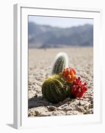 The Racetrack Point, Death Valley National Park, California, USA-Angelo Cavalli-Framed Photographic Print