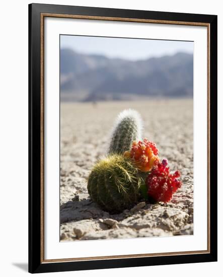 The Racetrack Point, Death Valley National Park, California, USA-Angelo Cavalli-Framed Photographic Print
