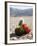 The Racetrack Point, Death Valley National Park, California, USA-Angelo Cavalli-Framed Photographic Print