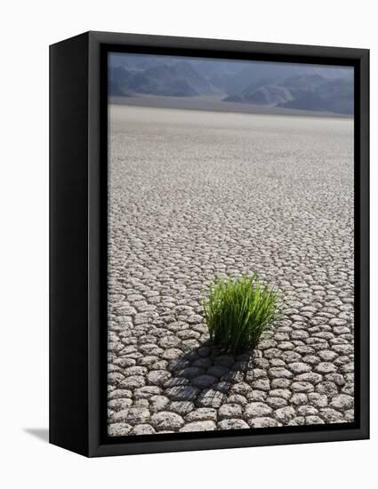 The Racetrack Point, Death Valley National Park, California, USA-Angelo Cavalli-Framed Premier Image Canvas