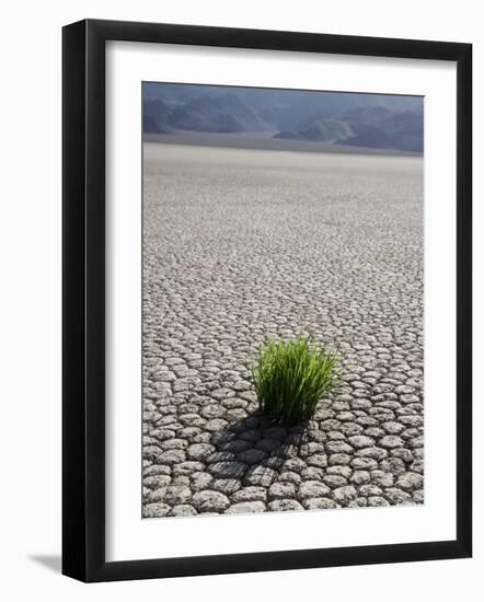 The Racetrack Point, Death Valley National Park, California, USA-Angelo Cavalli-Framed Photographic Print