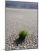 The Racetrack Point, Death Valley National Park, California, USA-Angelo Cavalli-Mounted Photographic Print