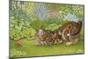 The Radish-Hunt, 1996-Ditz-Mounted Giclee Print