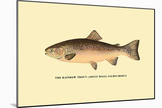 The Rainbow Trout-H.h. Leonard-Mounted Art Print