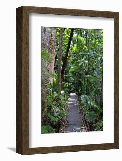 The Rainforest Boardwalk Connecting Centenary Lakes to the Botanic Gardens in Cairns, Queensland-Paul Dymond-Framed Photographic Print