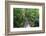 The Rainforest Boardwalk Connecting Centenary Lakes to the Botanic Gardens in Cairns, Queensland-Paul Dymond-Framed Photographic Print