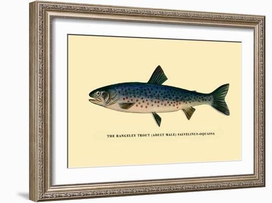 The Rangeley Trout-H.h. Leonard-Framed Art Print