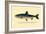 The Rangeley Trout-H.h. Leonard-Framed Art Print