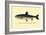 The Rangeley Trout-H.h. Leonard-Framed Art Print