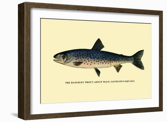 The Rangeley Trout-H.h. Leonard-Framed Art Print