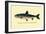 The Rangeley Trout-H.h. Leonard-Framed Art Print