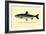 The Rangeley Trout-H.h. Leonard-Framed Art Print