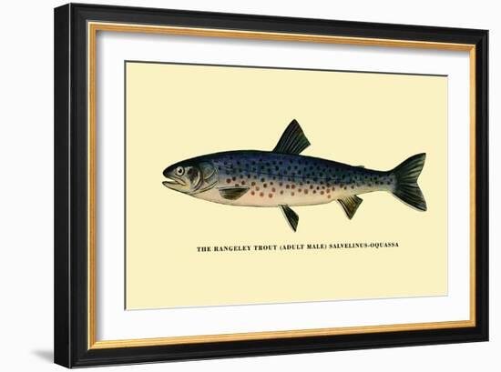 The Rangeley Trout-H.h. Leonard-Framed Art Print