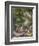 The Rape of Proserpine-Jan van Huysum-Framed Giclee Print