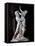 The Rape of Prosperpina-Bernini Gian Lorenzo-Framed Premier Image Canvas