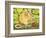 The Raspberry-Mouse-Ditz-Framed Giclee Print