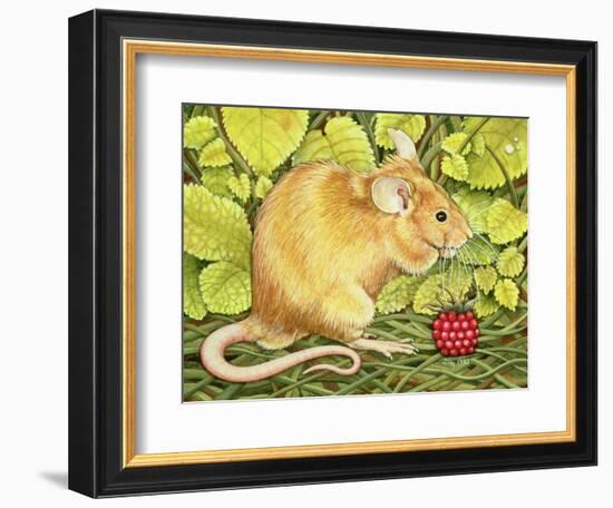 The Raspberry-Mouse-Ditz-Framed Giclee Print