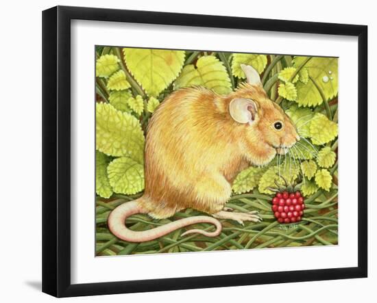 The Raspberry-Mouse-Ditz-Framed Giclee Print