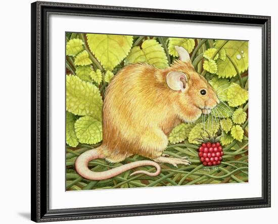 The Raspberry-Mouse-Ditz-Framed Giclee Print