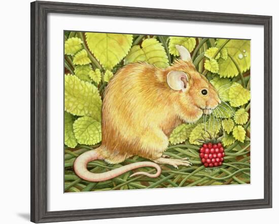 The Raspberry-Mouse-Ditz-Framed Giclee Print