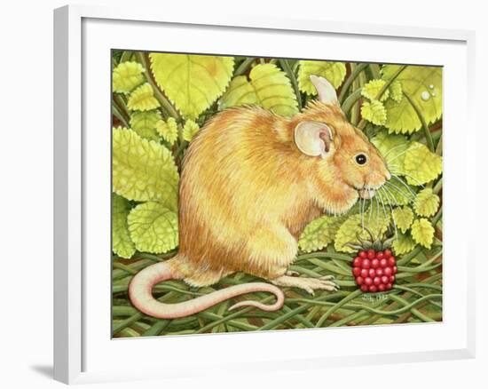 The Raspberry-Mouse-Ditz-Framed Giclee Print