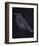 The Raven-null-Framed Art Print