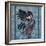 The Raven-Linda Ravenscroft-Framed Giclee Print