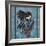 The Raven-Linda Ravenscroft-Framed Giclee Print