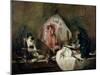 The Ray Or, the Kitchen Interior, 1728-Jean-Baptiste Simeon Chardin-Mounted Giclee Print