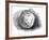 The Re-Cut Koh-I-Noor Diamond, 1852-null-Framed Photographic Print