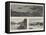 The Recent Destructive Hurricane in the Island of Mauritius-null-Framed Premier Image Canvas