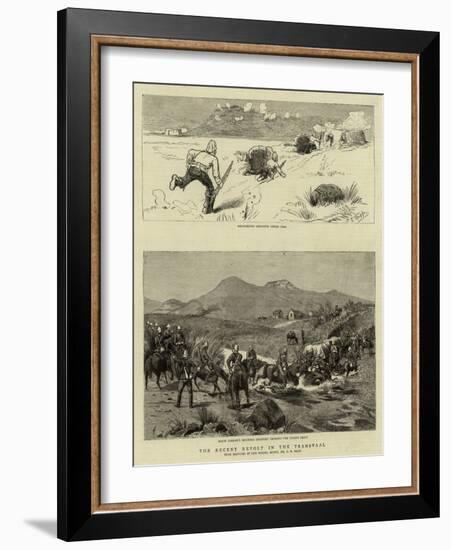 The Recent Revolt in the Transvaal-Charles Edwin Fripp-Framed Giclee Print