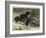 The Recent Severe Winter, Dartmoor Ponies in Search of a Feed-Samuel Edmund Waller-Framed Giclee Print