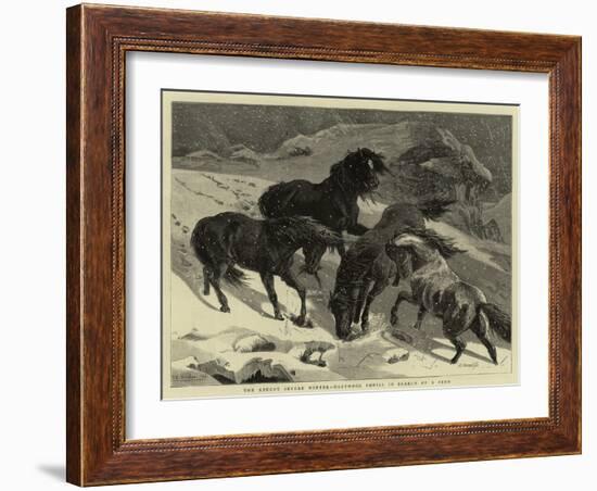 The Recent Severe Winter, Dartmoor Ponies in Search of a Feed-Samuel Edmund Waller-Framed Giclee Print