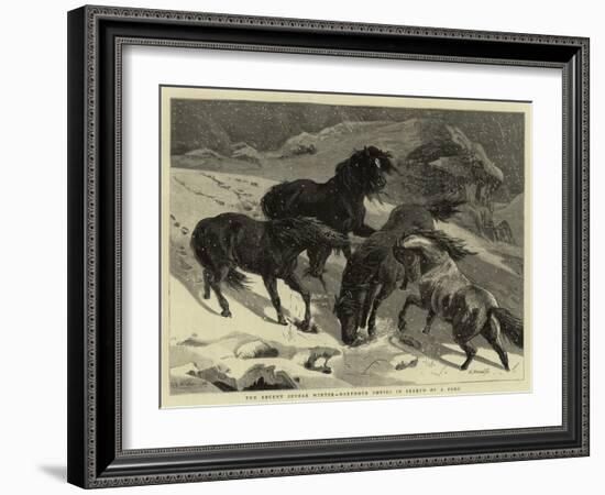 The Recent Severe Winter, Dartmoor Ponies in Search of a Feed-Samuel Edmund Waller-Framed Giclee Print